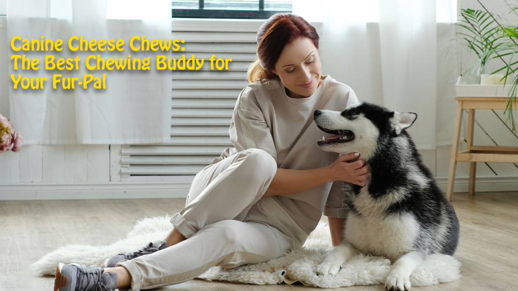 Canine Cheese Chews: The Best Chewing Buddy for Your Fur-Pal