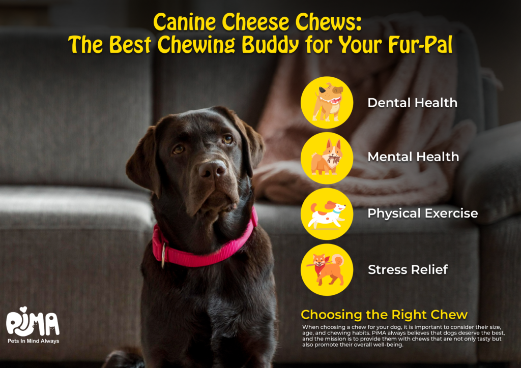 Canine Cheese Chews: The Best Chewing Buddy for Your Fur-Pal