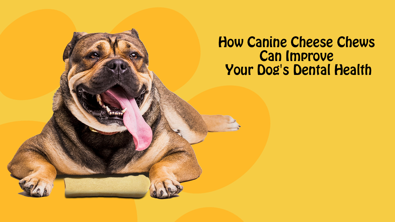 How Canine Cheese Chews Can Improve Your Dog's Dental Health