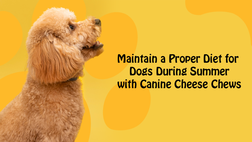 Maintain a Proper Diet for Dogs During Summer with Canine Cheese Chews