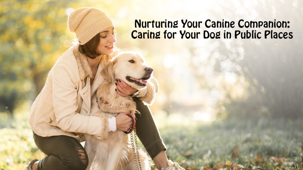 Nurturing Your Canine Companion: Caring for Your Dog in Public Places